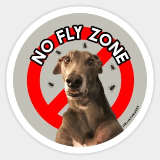 No Fly Zone Sticker